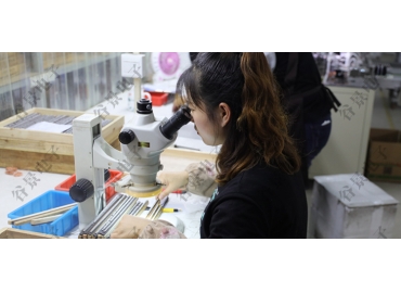 貼片共模電感方向如何區(qū)分你知道嗎？